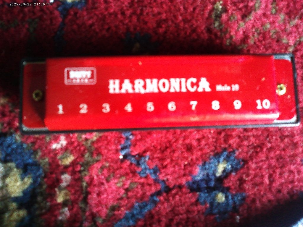 MOND HARMONICA, Ophalen of Verzenden, Zo goed als nieuw, Overige typen, Met koffer of doosje