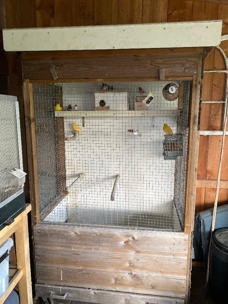 Vogel volière met kanaries, Ophalen, Gebruikt, Hout, Volière