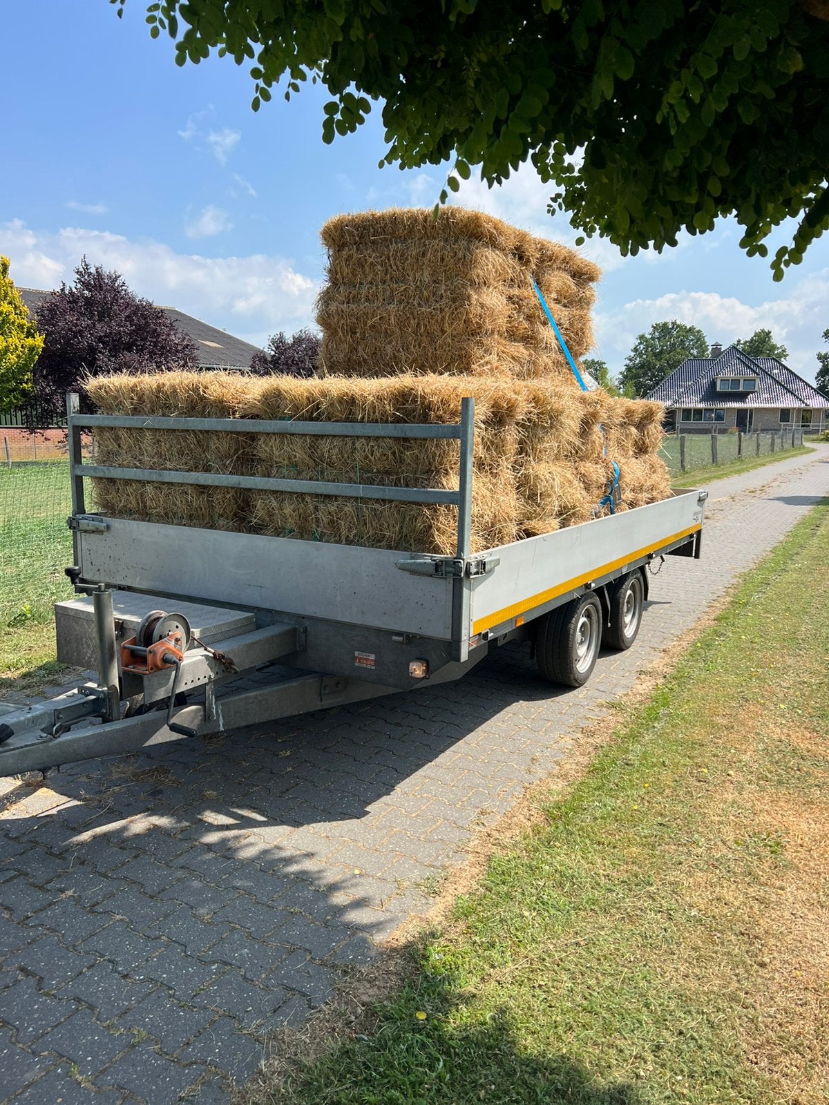 Klein pakjes hooi met analyse, Ophalen of Verzenden, Vee