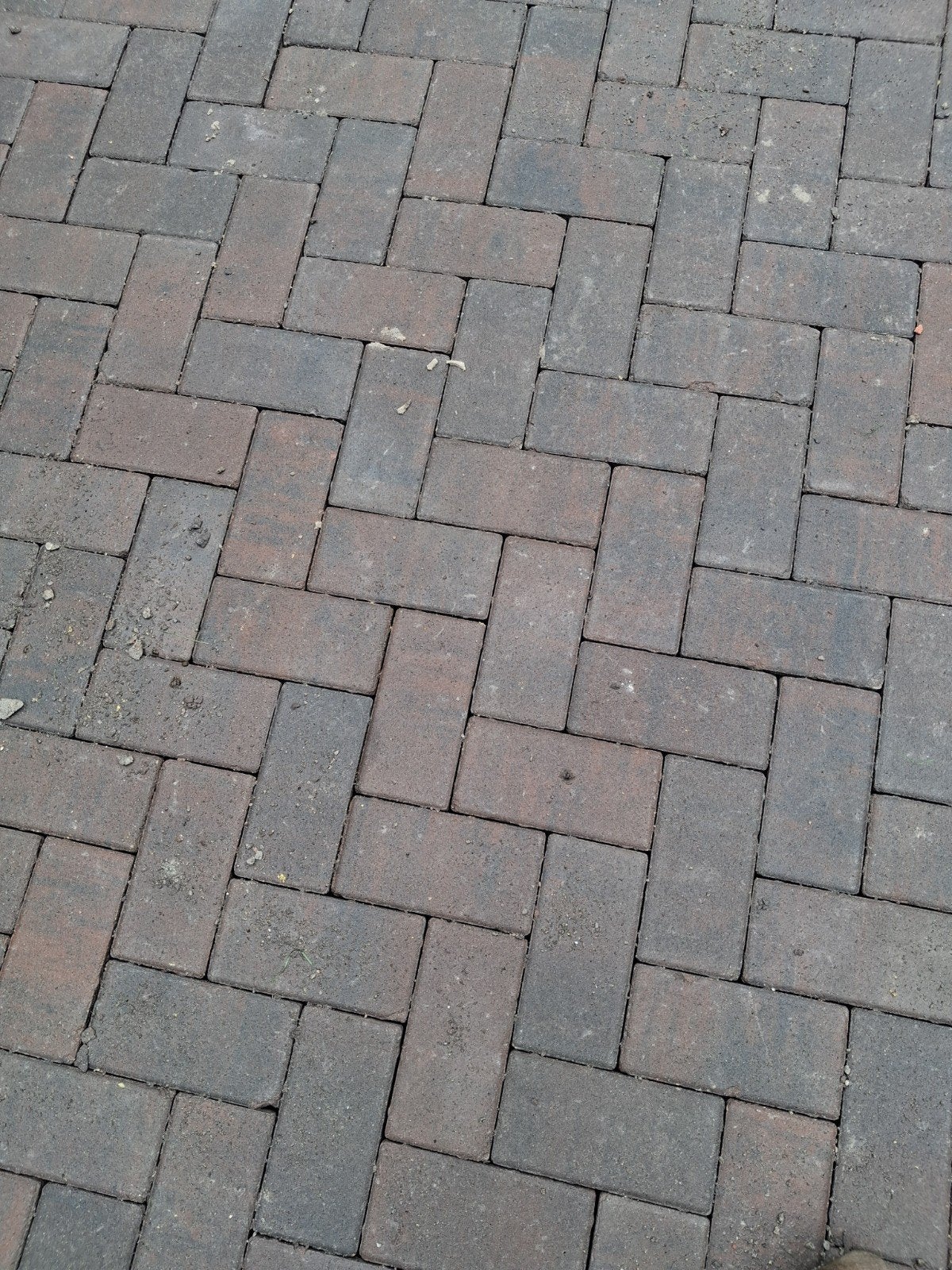 55 m2 Bkk Oud Emmen 6 cm - Klinkers, Ophalen of Verzenden, Beton, Klinkers