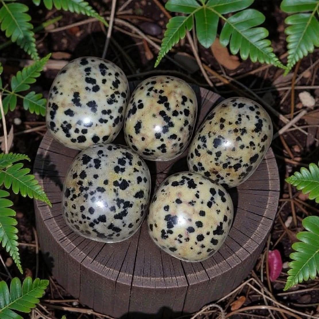 Dalmatier jaspis, Ophalen of Verzenden, Mineraal