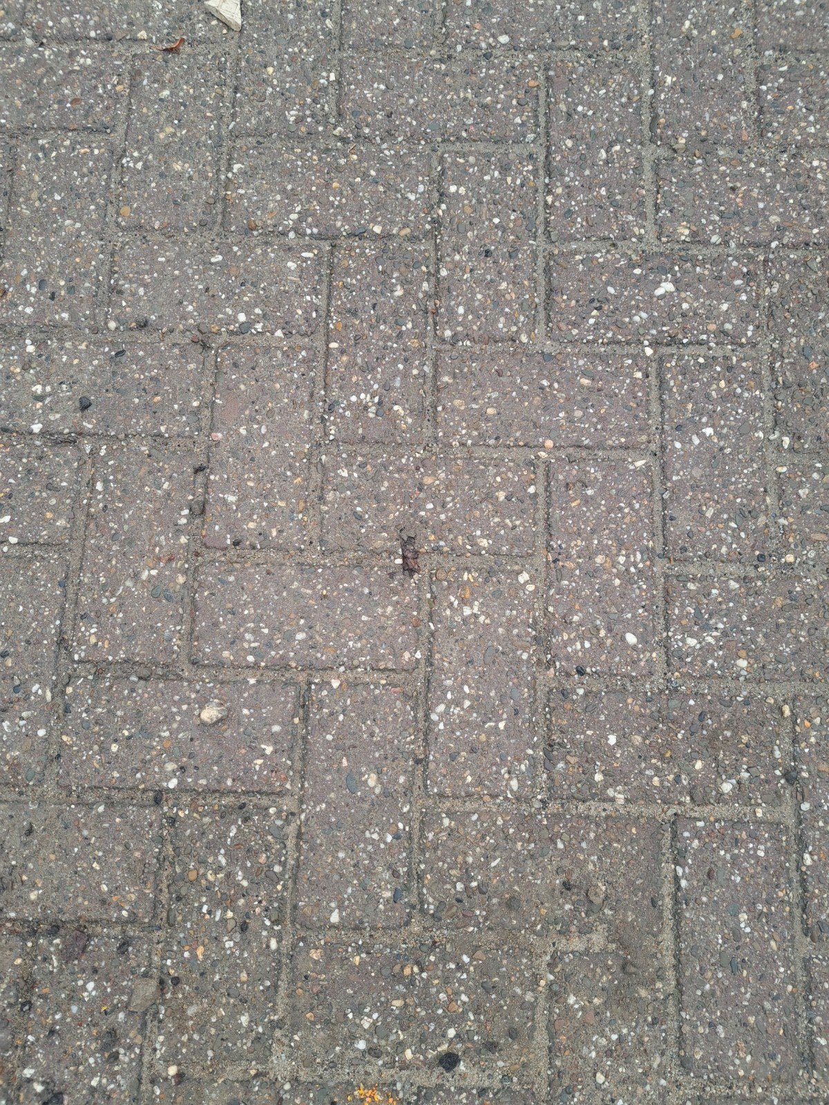 mooie partij heidekleur bkk, Gebruikt, Klinkers, Ophalen of Verzenden, 10 m² of meer