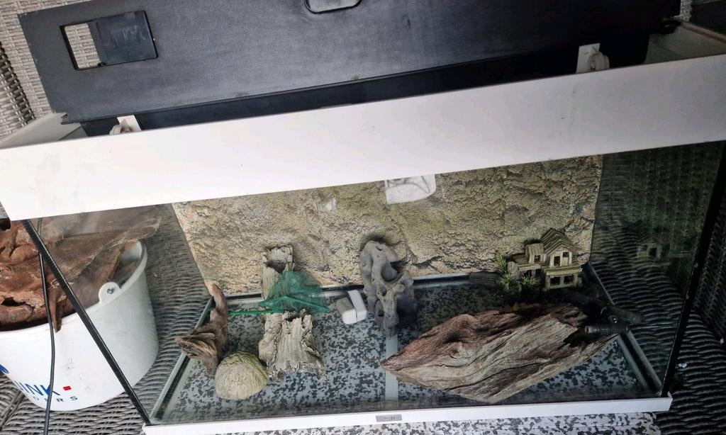 Aquarium incl pomp en accesoires 80 liter, Ophalen of Verzenden, Leeg aquarium