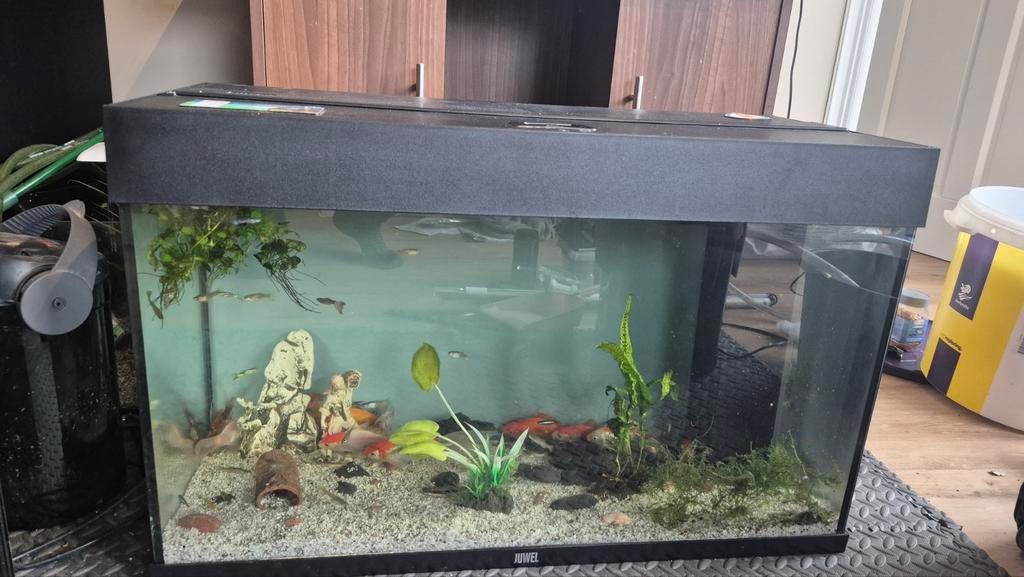 Juwel rio 125 80 cm aquarium, Dieren en Toebehoren, Vissen | Aquaria en Toebehoren, Ophalen of Verzenden, Zo goed als nieuw, Leeg aquarium