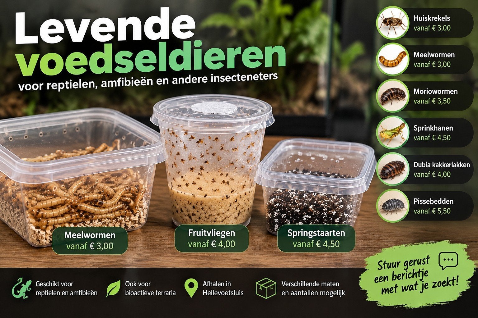Levende voedseldieren.Krekels, wormen,springstaartjes & meer, Ophalen of Verzenden