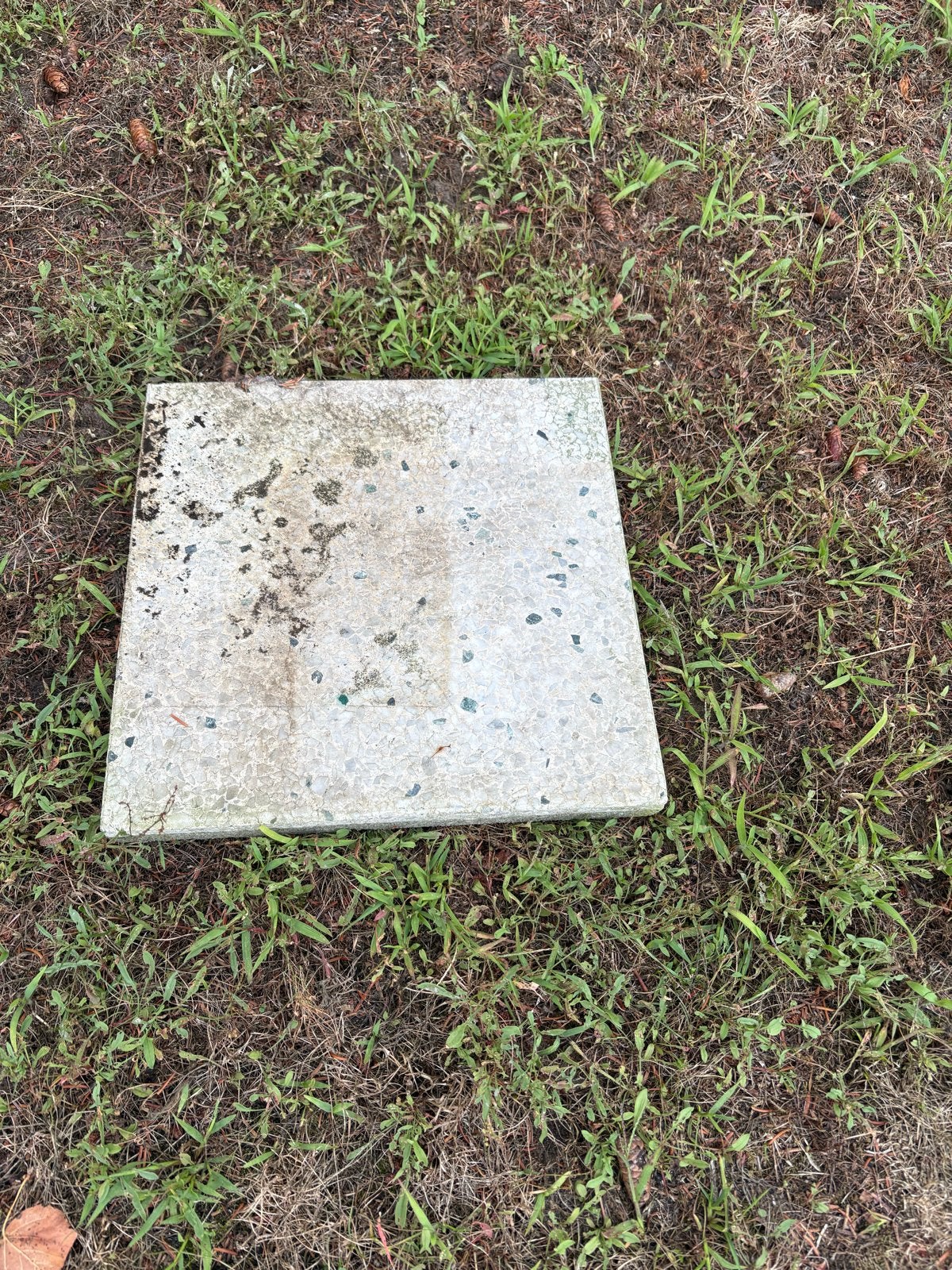 Gratis af te halen: ca. 40 tuintegels 40x40 cm, Ophalen, Gebruikt, 5 tot 10 m², Beton