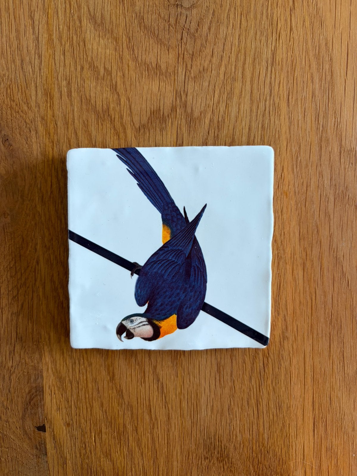 Storytiles - Blue Parrot (Maat S), Ophalen of Verzenden, Zo goed als nieuw