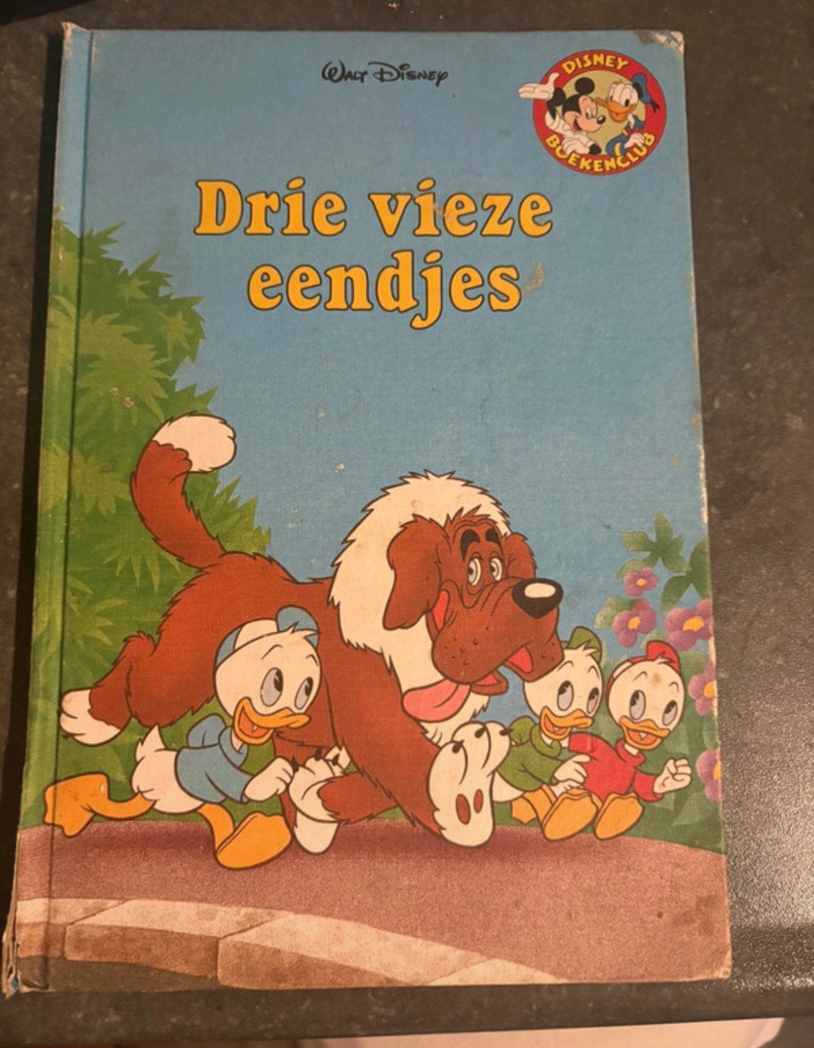 Disney Boek: Drie vieze eendjes - Donald Duck, Ophalen of Verzenden, Gelezen, Sprookjes