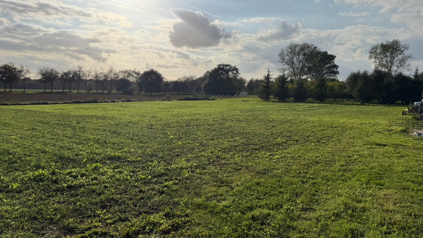 Weide/ Perceel / Land Te Huur, Dieren en Toebehoren