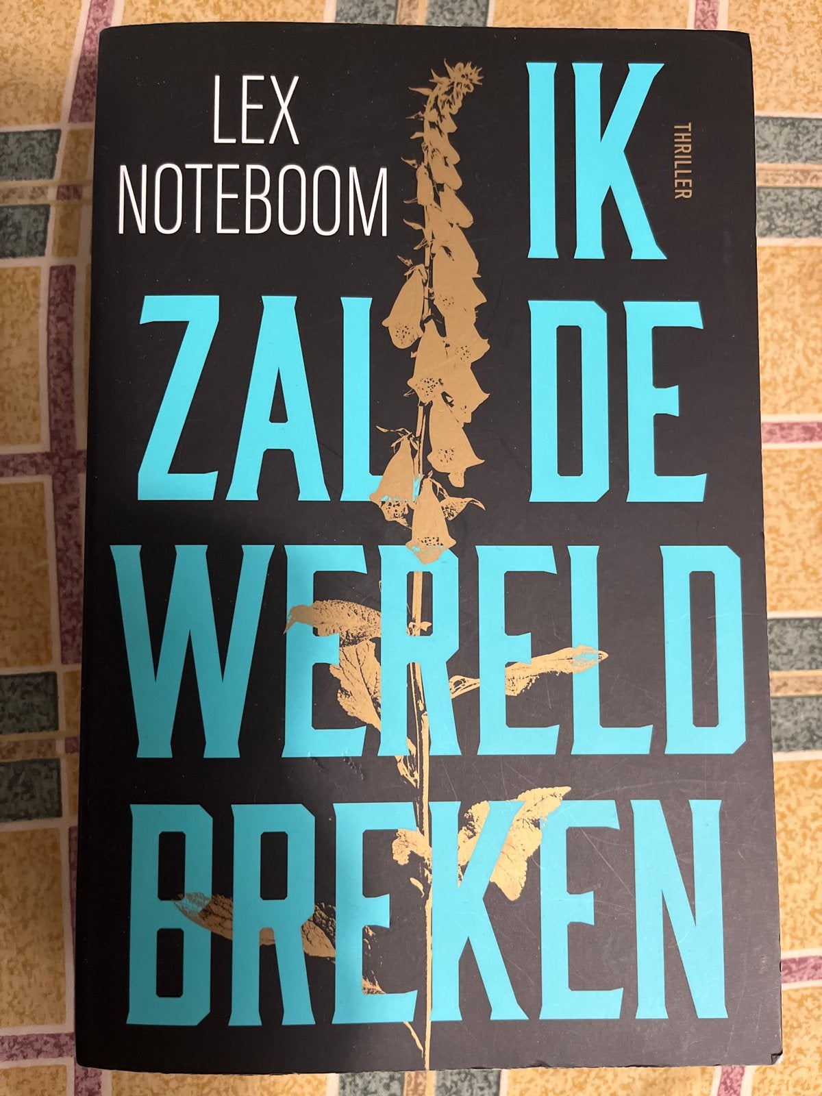 IK ZAL DE WERELD BREKEN - Lex Nooteboom (Thriller), Boeken, Ophalen of Verzenden, Zo goed als nieuw