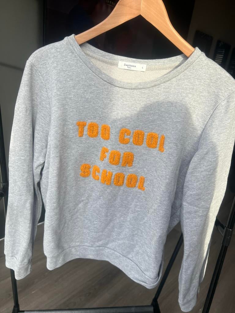 Nieuwe Daphnea Paris sweater 'Too Cool For School', Ophalen of Verzenden, Nieuw, Maat 42/44 (L), Grijs
