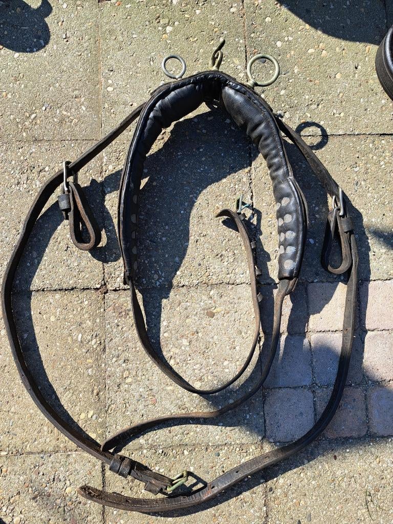 Schoft met borsttuig, Ophalen of Verzenden