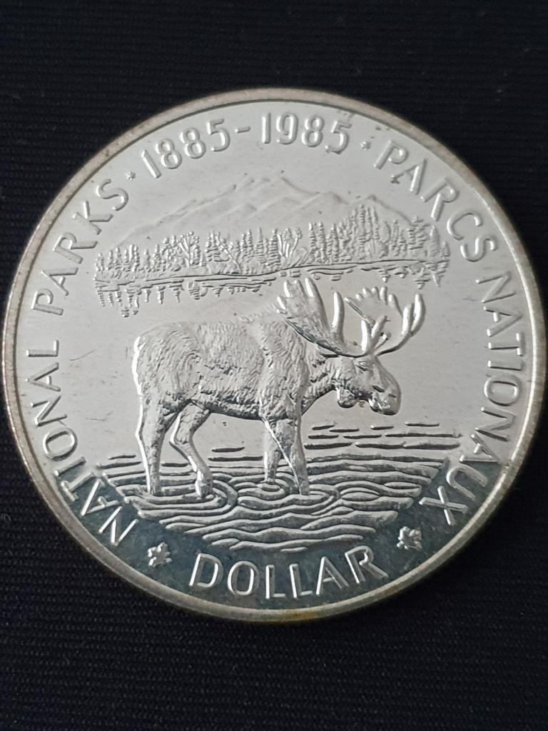 Grote Zilveren 1 Dollar 1985 Canada National Parks G, Ophalen of Verzenden, Noord-Amerika, Losse munt, Zilver