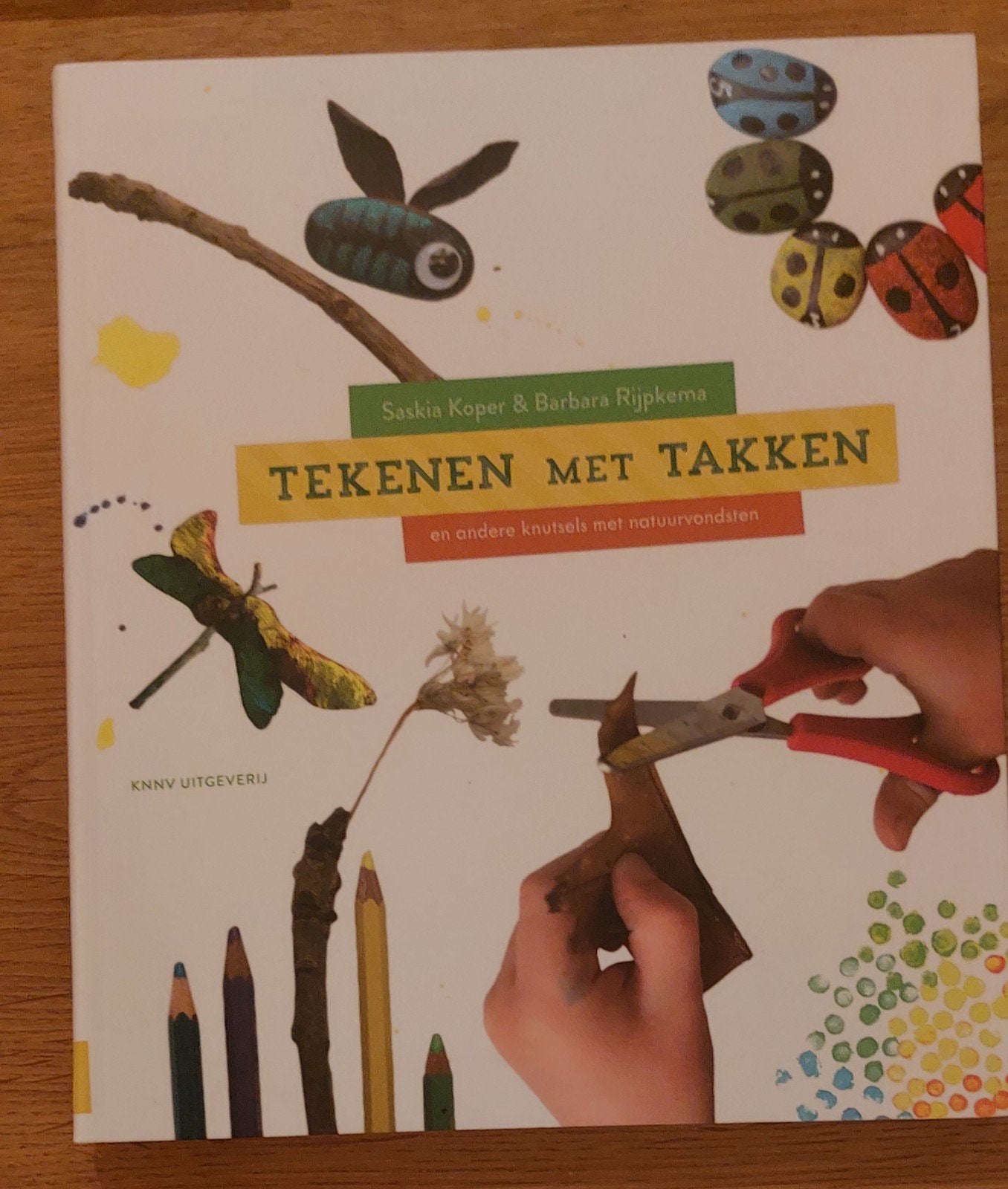 Saskia Koper - Tekenen met takken-nieuw, Non-fictie, Saskia Koper; Barbara Rijpkema, Nieuw, Ophalen of Verzenden