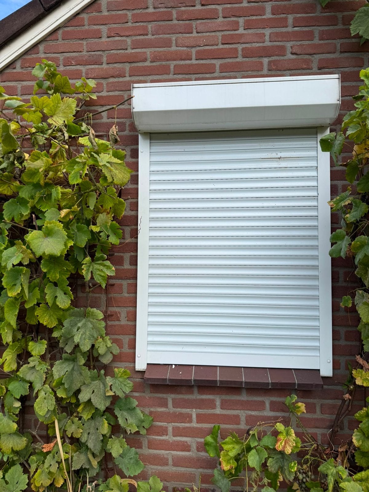 Rolluik met band - 89x129cm (incl. bak), Ophalen, Gebruikt, Rolluik, Minder dan 250 cm