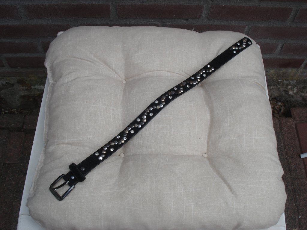 Halsbandje hond, Ophalen of Verzenden