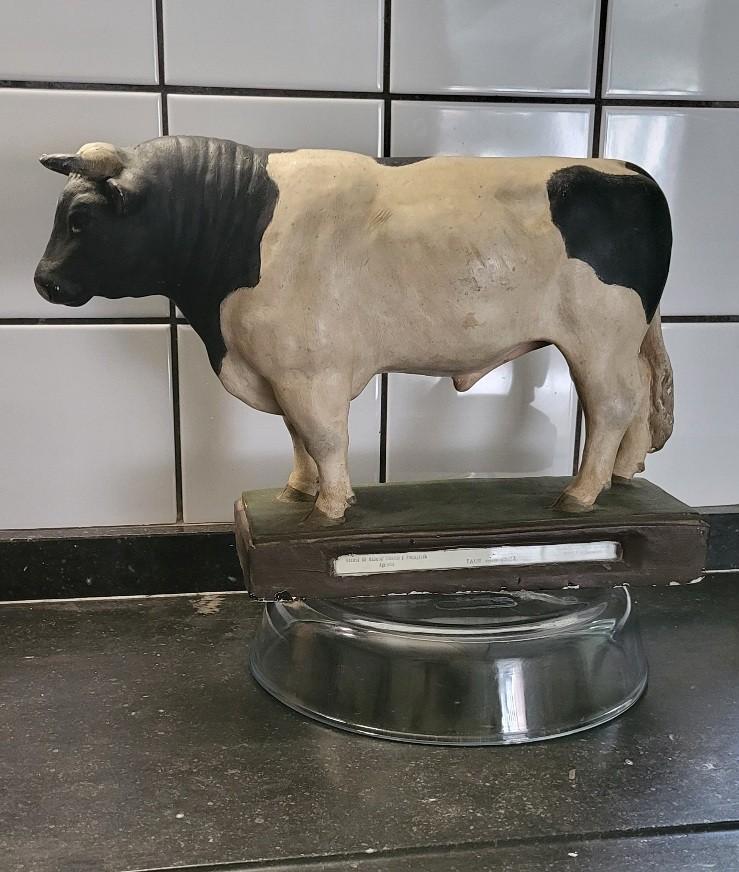 Zwaar plaasteren Koebeeld Stier model, ca. 1940, Antiek en Kunst, Ophalen, Gips, Zoogdier, 20 - 50 cm