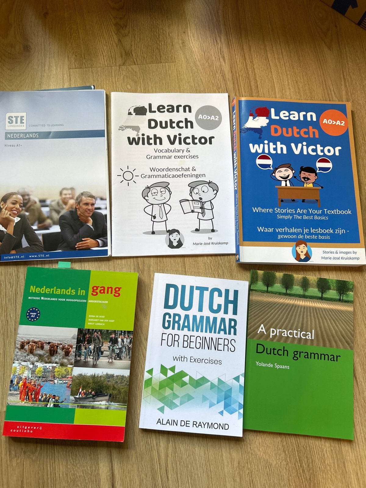 Nederlandse leerboeken bundel (ook los verkrijgbaar), Boeken, Ophalen of Verzenden, Zo goed als nieuw, Non-fictie