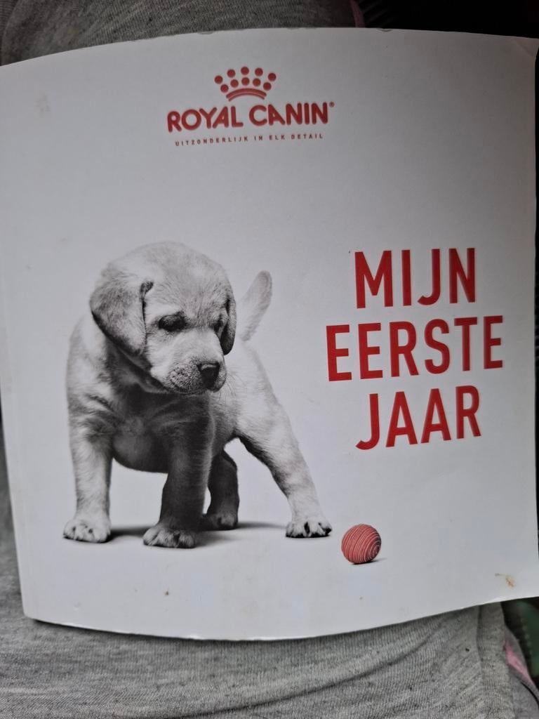 Gratis, Ophalen