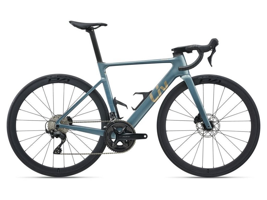 Giant Liv enviliv advanced 2