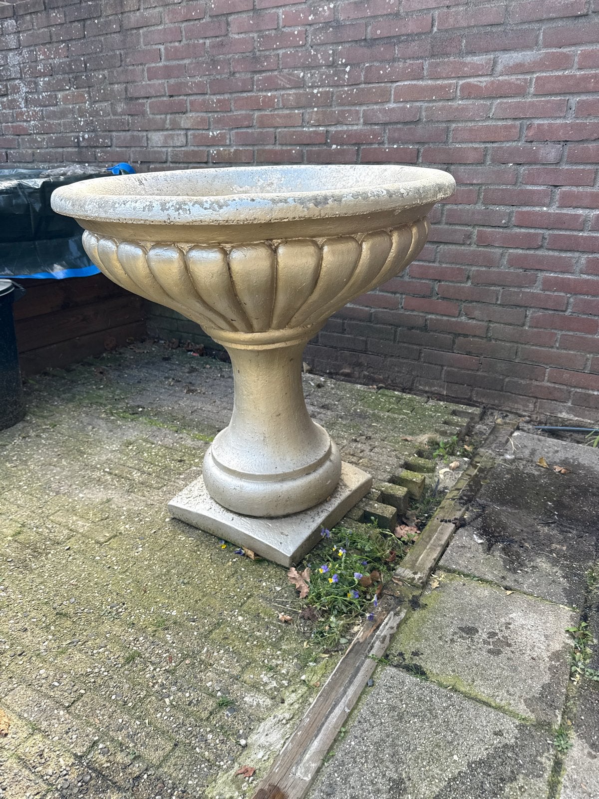 Grote betonnen plantenbak / bloempot - Ø 79 cm, H 80 cm, Ophalen, Gebruikt, Rond, 60 tot 100 cm