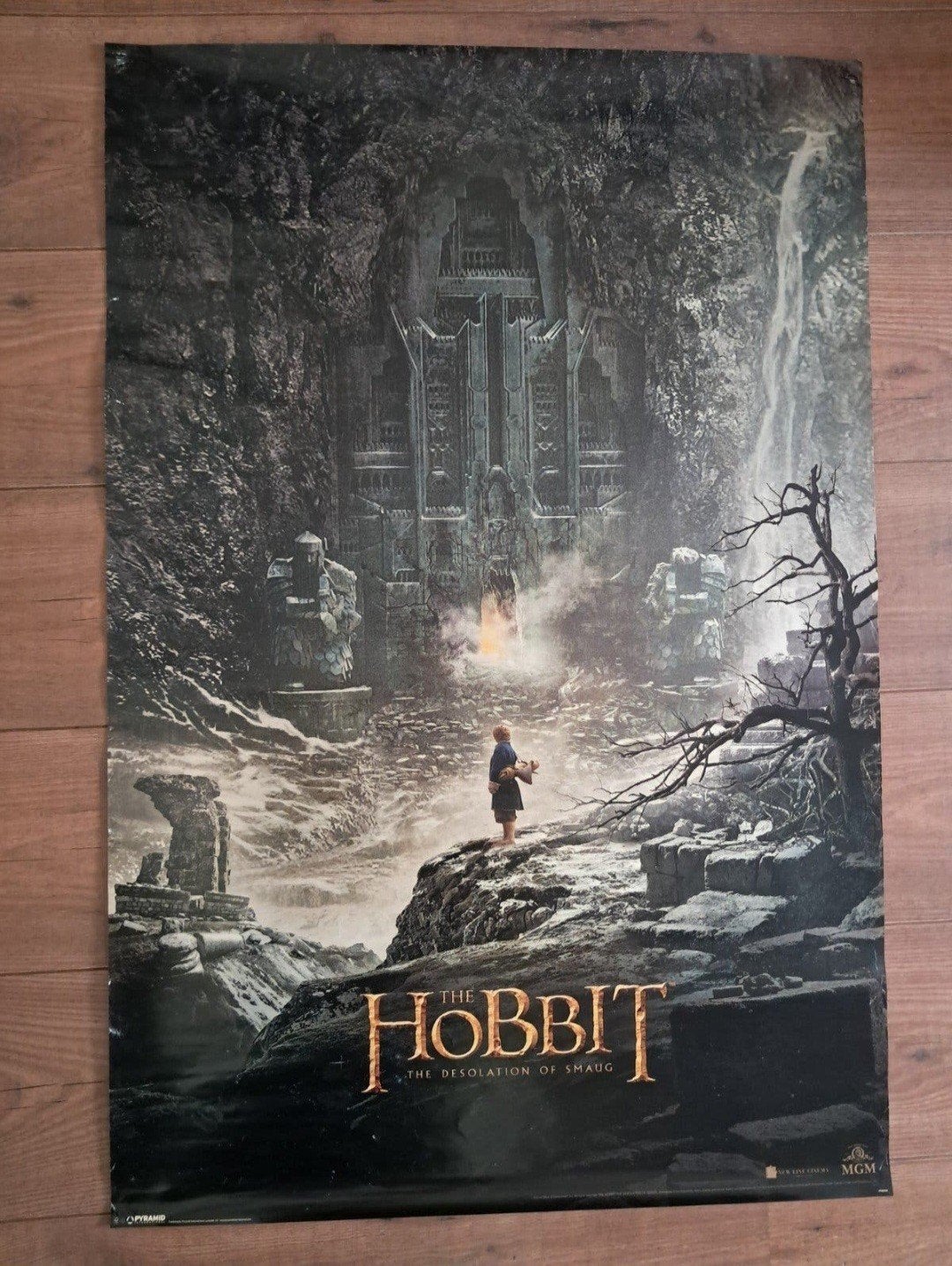 Grote poster van The Hobbit the Desolation of Smaug originee, Ophalen of Verzenden, Gebruikt, Overige typen