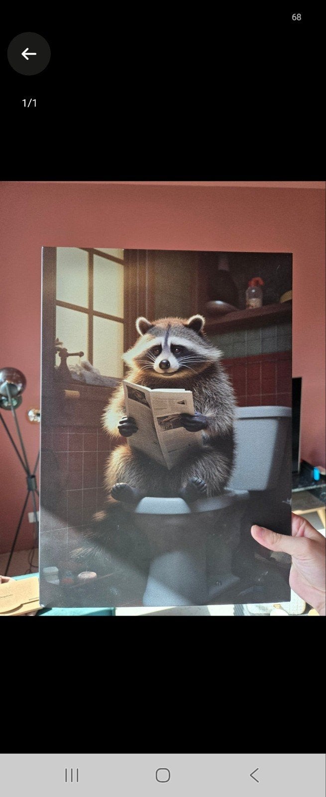Displate metalen plaat 32x45 cm - Wasbeer op toilet, Ophalen, Minder dan 50 cm, 5 – 50, Print