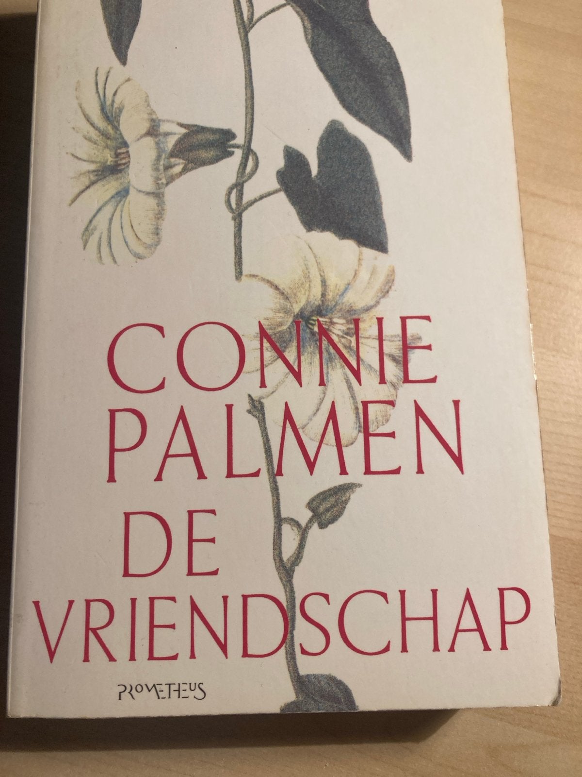 Connie Palmen - De Vriendschap (Boek), Boeken, Ophalen of Verzenden, Zo goed als nieuw, Nederland
