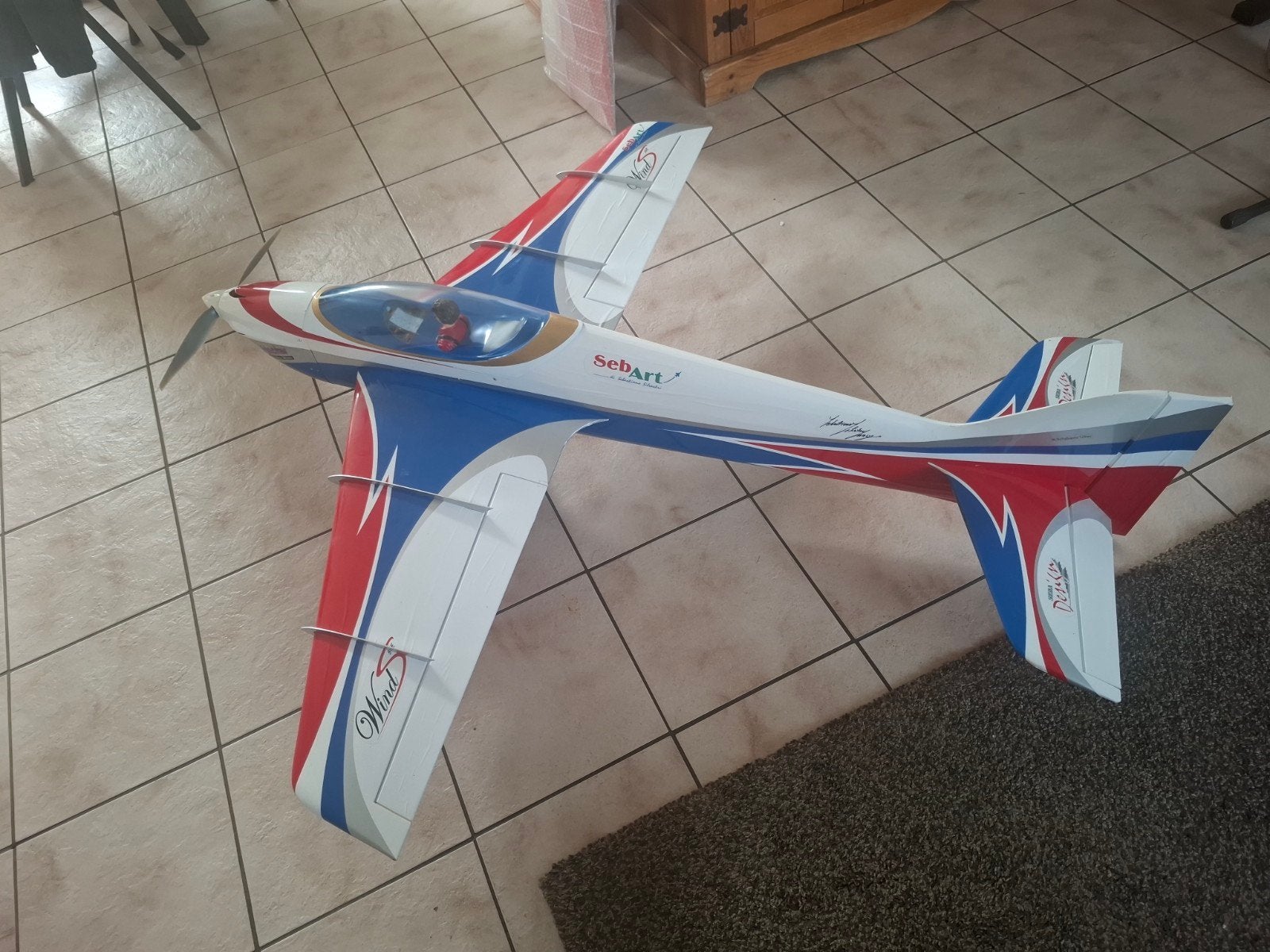 RC Vliegtuig SebaArt Wind 50E, Gebruikt, Groter dan 1:72, Vliegtuig, Ophalen