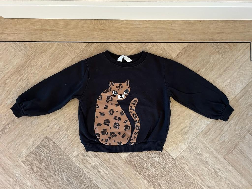 Sweater / trui met panterprint & glitters, H&M, 110 / 116, Meisje, Trui of Vest, H&M, Ophalen of Verzenden
