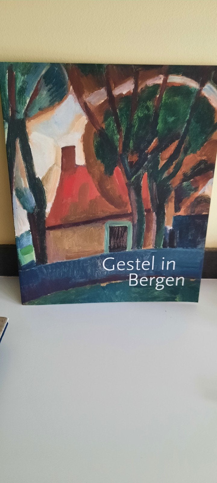 Gestel in Bergen - Kunstboek, Ophalen of Verzenden, Zo goed als nieuw, Leo Gestel, Nederland