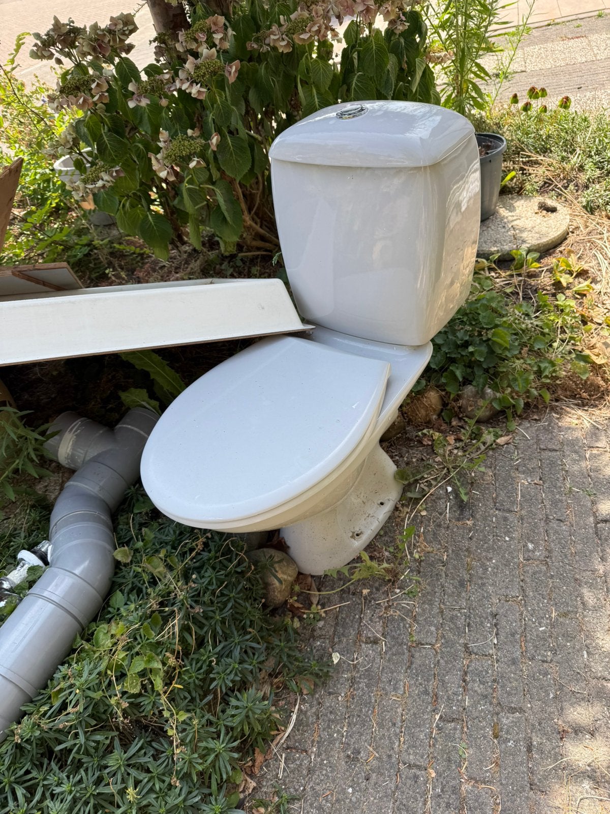Oude toilet pot, gratis op te halen, Ophalen, Zo goed als nieuw, Toilet