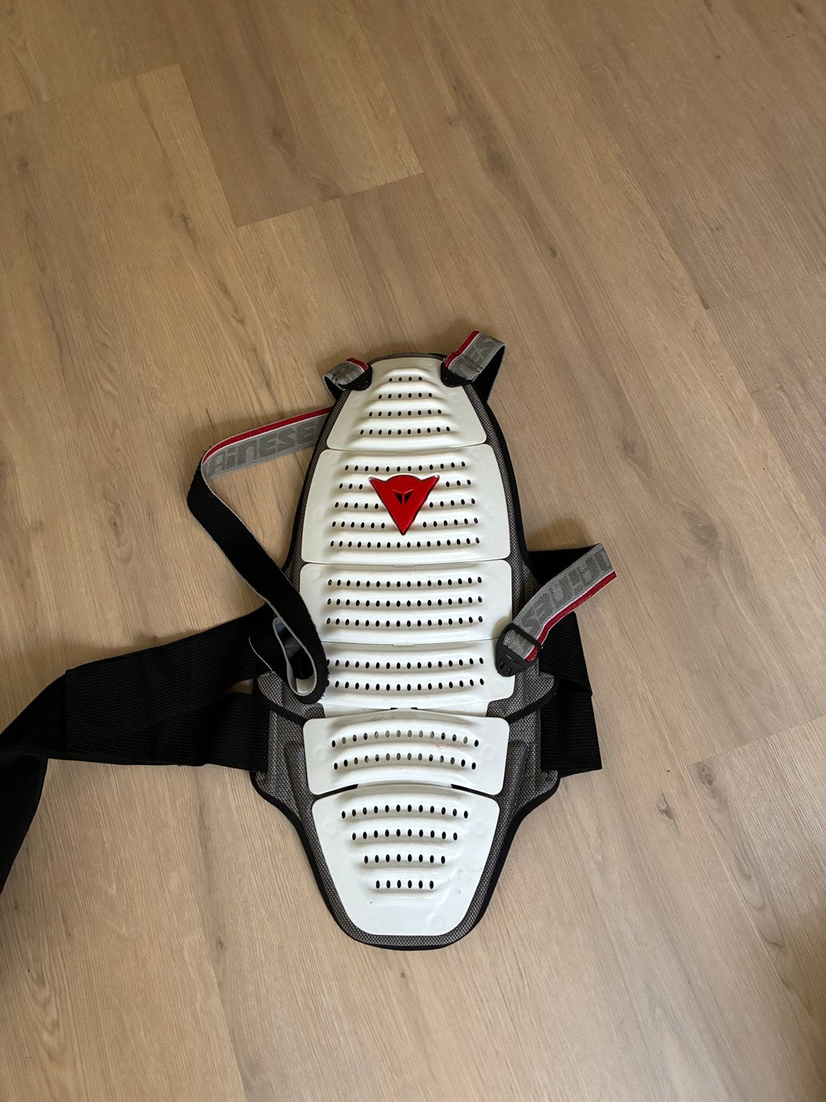 Dainese Ski Rugbeschermer Maat L, Sport en Fitness, Overige merken, Overige typen, Ophalen of Verzenden, Zo goed als nieuw