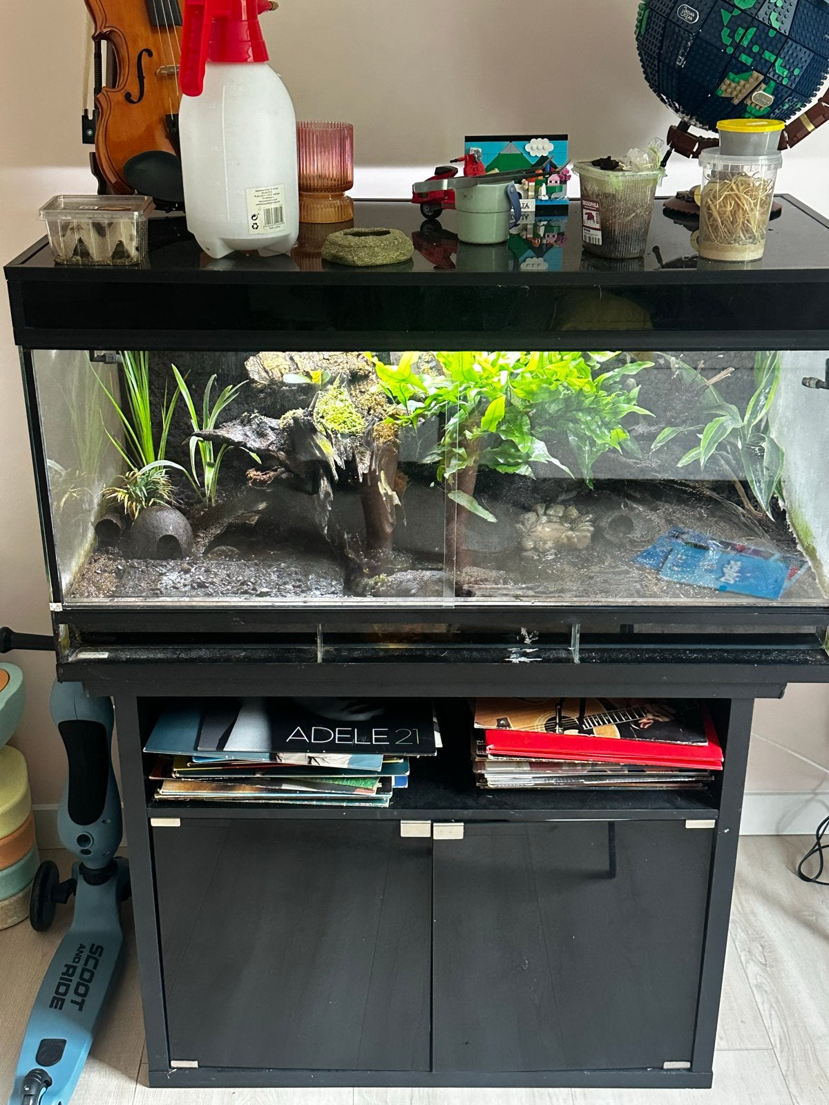 Terrarium compleet, Ophalen, Gebruikt, Terrarium of Paludarium