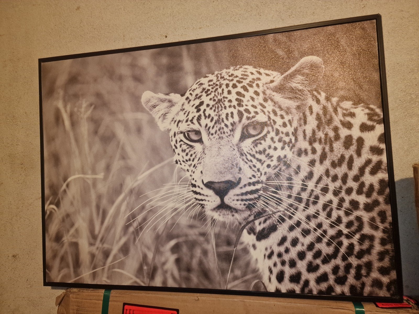 Schilderij luipaard 50x60 cm, Ophalen, Doek, Realistisch, Dieren