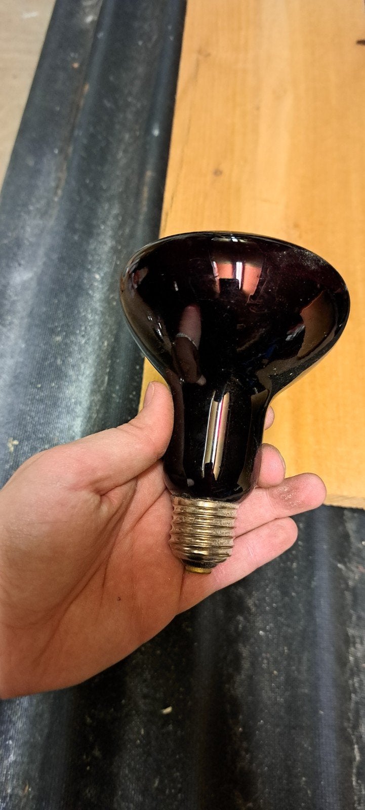 Infrarood warmtelamp Terrarium, Ophalen of Verzenden, Zo goed als nieuw