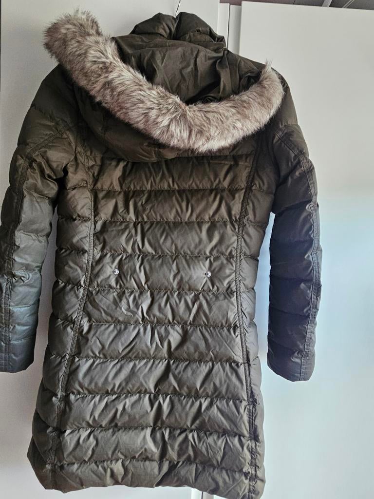 Vrouw Olijfgroen Tommy Hilgifer jas., Kleding | Dames, Ophalen of Verzenden, Gedragen, Groen