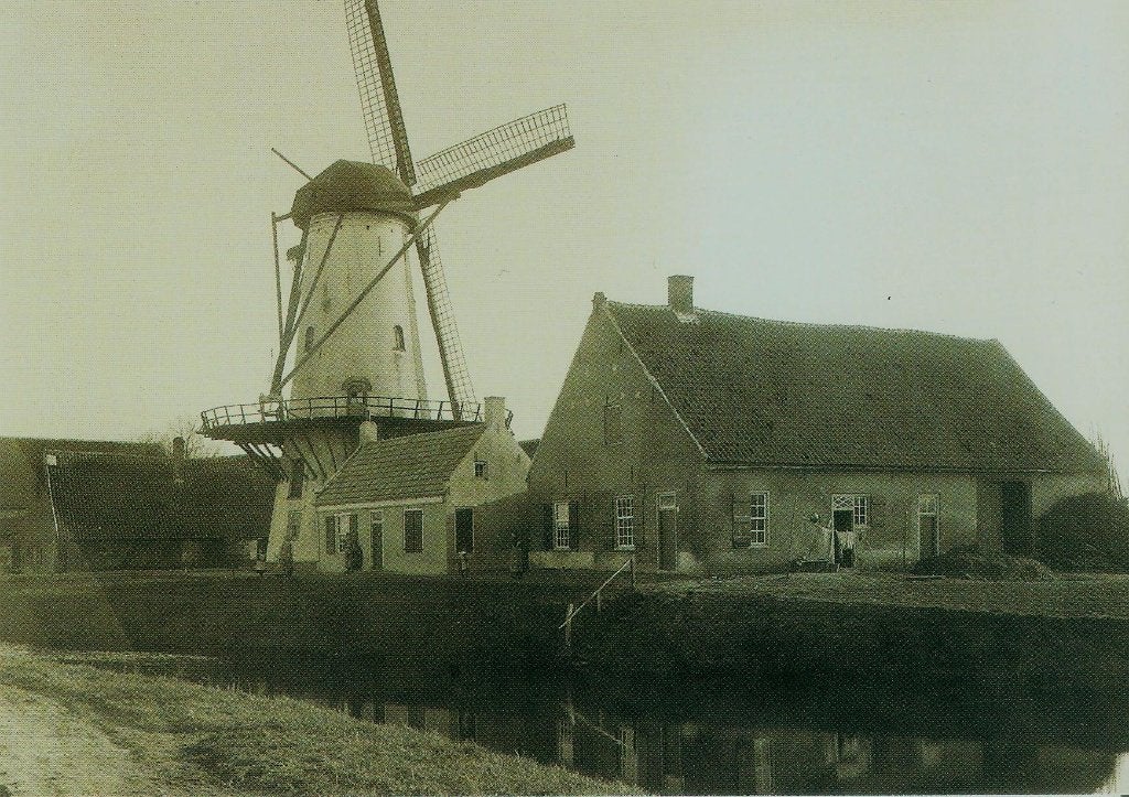 Etten-Leur Leur molen De Lelie groot formaat 2003, Ophalen of Verzenden, 1980 tot heden, Ongelopen, Noord-Brabant