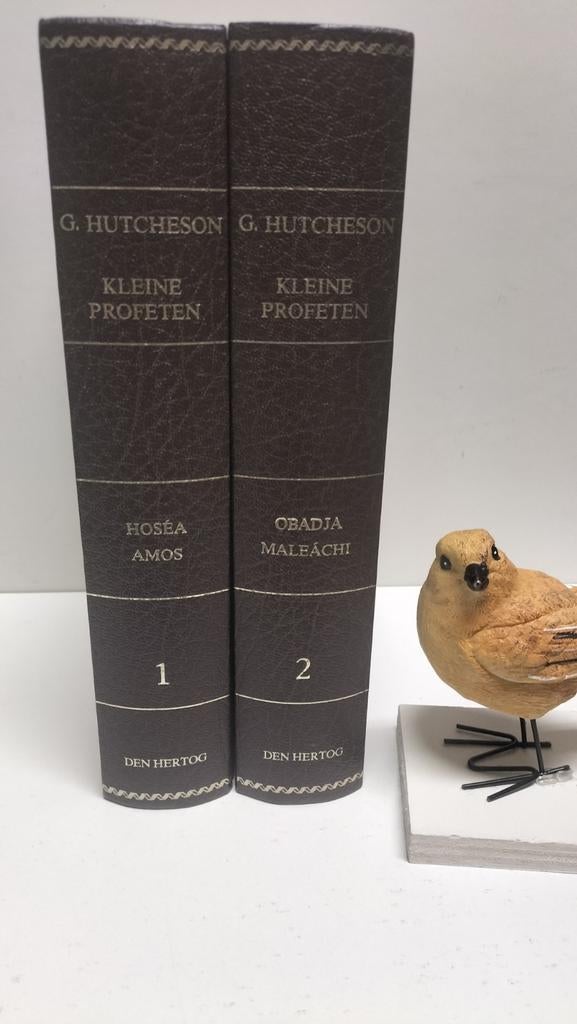 Hutcheson, G.;Verklaring van de twaalf kleine profeten( 2 dl, Ophalen of Verzenden, Gelezen, Christendom | Protestants