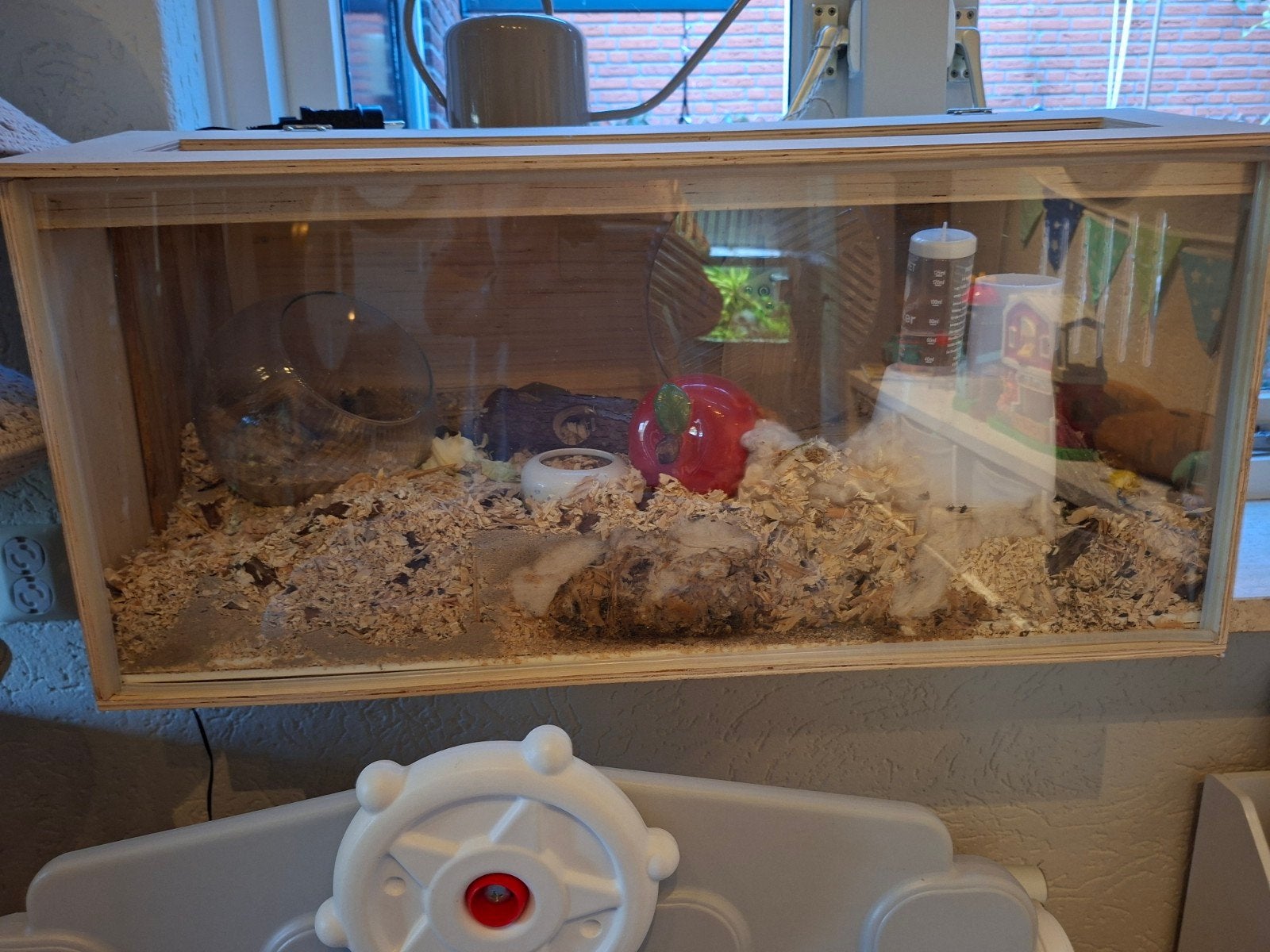 hamster plus hamsterhok, Ophalen, Gebruikt, Overige typen