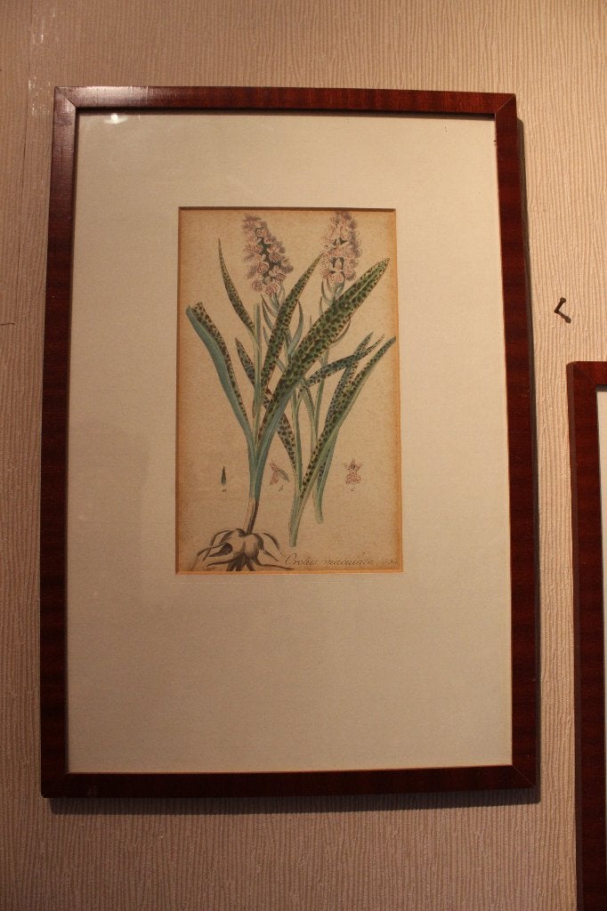 Antiek en Kunst > Kunst | Etsen en Gravures, Antiek en Kunst, Kunst | Etsen en Gravures, 46 cm, 1800 - 1899, Ophalen of Verzenden