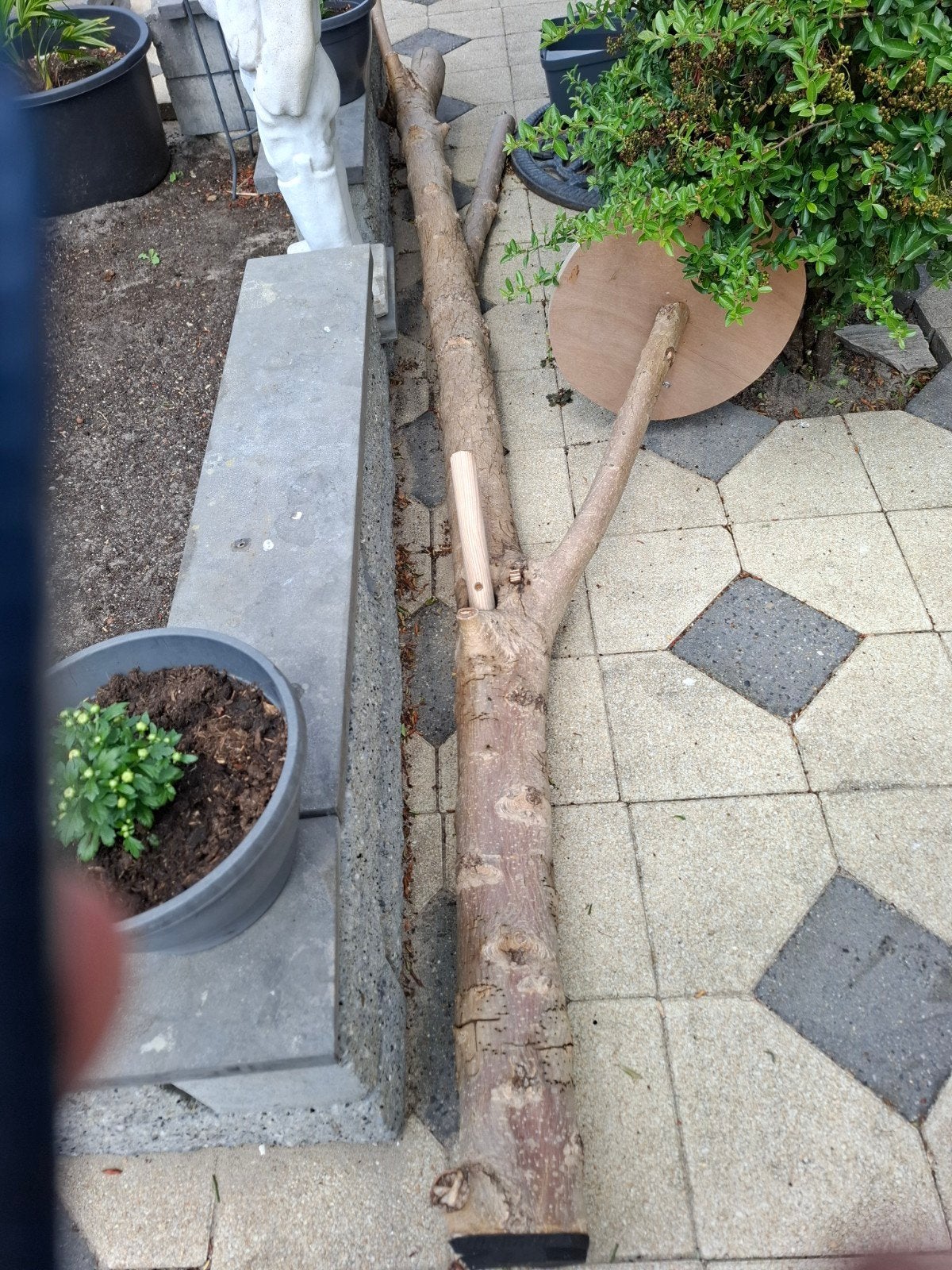 Kattenboom voor in huis of opvang., Ophalen, Gebruikt