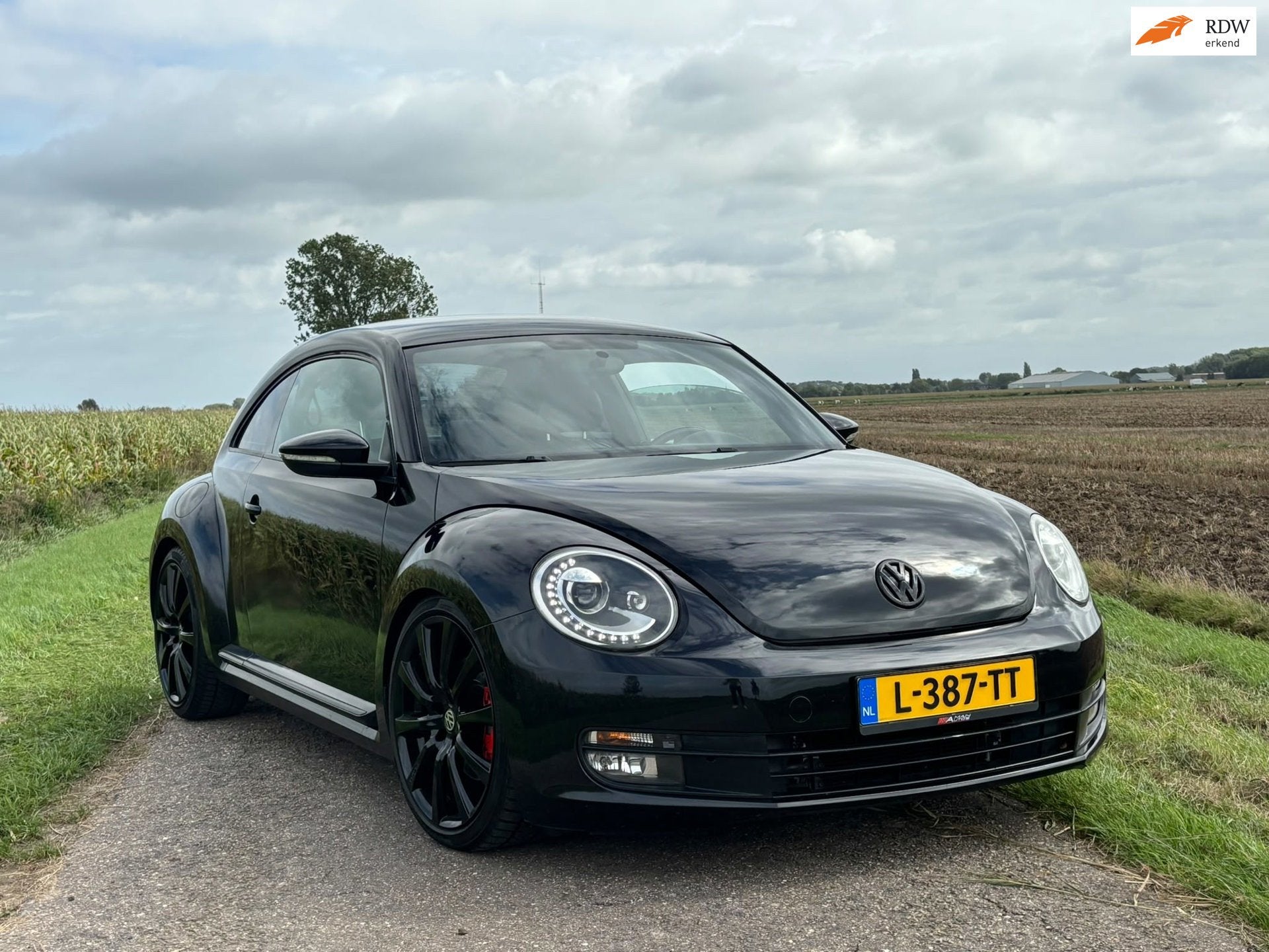 Volkswagen Beetle 2.0 TSI Sport / AUTOMAAT / AIRCO / STOELVE, Euro 5, Gebruikt, Beetle (Kever), 4 cilinders