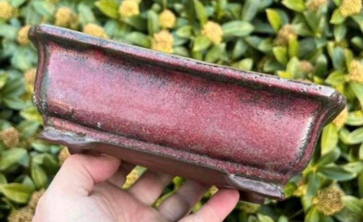 Bonsai schaal Ossenbloed rood geglazuurd 20,6x15,3x6,7, Tuin en Terras, Ophalen of Verzenden, Zo goed als nieuw, Aardewerk, Rechthoekig