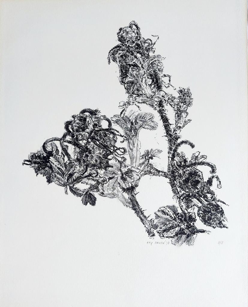 Ery Brusse -Originele  Tekening/Ets van een plant (1978), Ophalen of Verzenden