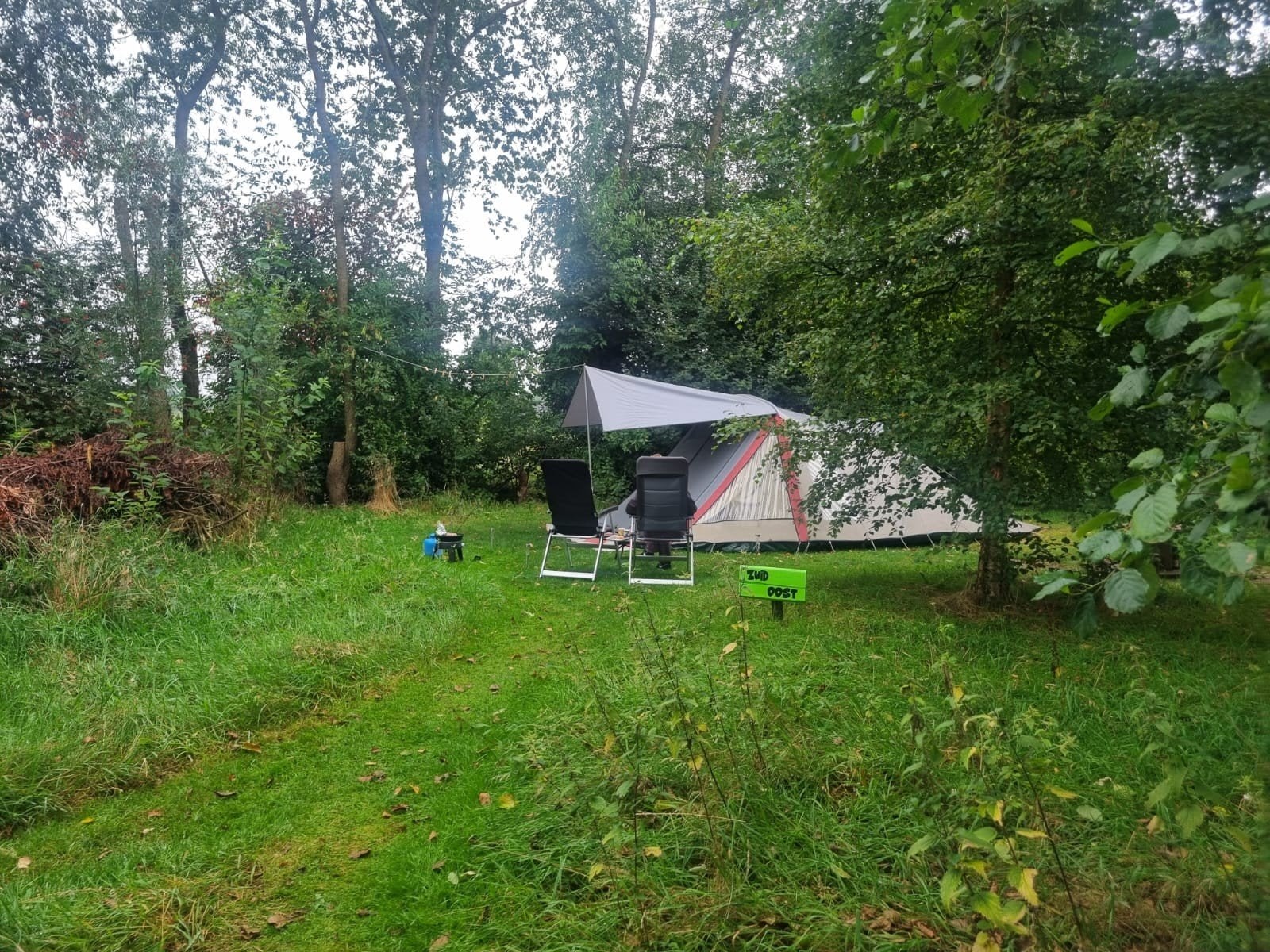 Baco tent Buffel 4- 4 persoons, Caravans en Kamperen, Tenten, Ophalen, Gebruikt, Tot en met 4