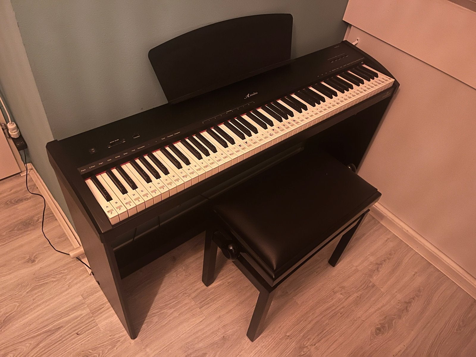 Amadeus Stage 1 Digitale Piano - Ideaal voor Beginners, Ophalen, Gebruikt, Zwart, Digitaal