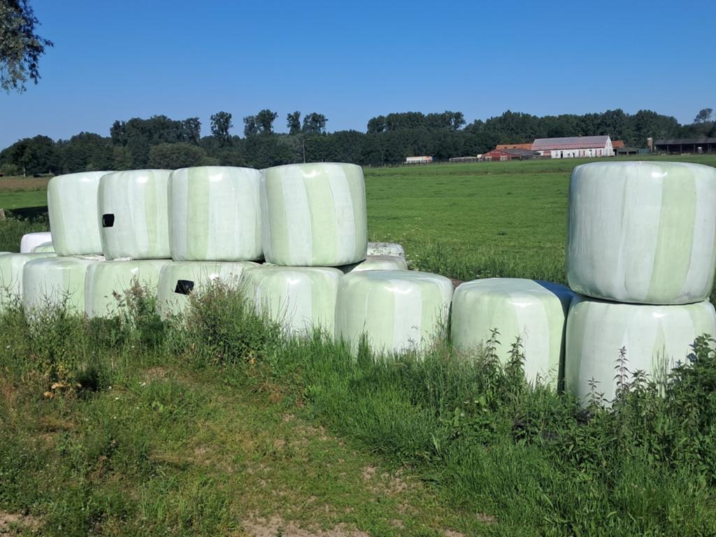 Hooi in gewikkelde ronde balen., Ophalen of Verzenden, Vee
