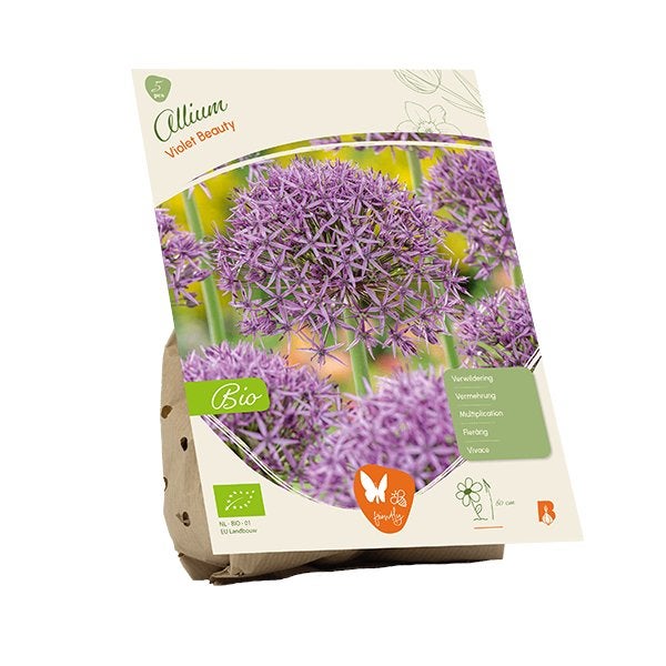 Sierui (Allium Violet Beauty) BIOLOGISCH, Ophalen of Verzenden, Najaar, Volle zon, Bloembol