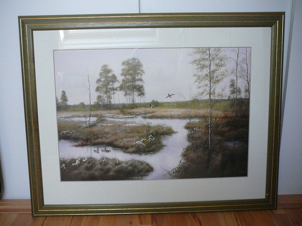 Schilderij Landschap met Water en Eenden - Ingelijst, Papier/karton, Achter glas, Overige technieken, Landschap